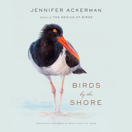 Birds by the Shore by Jennifer Ackerman