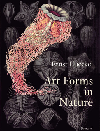 Art Forms in Nature by 