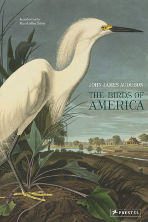 The Birds of America by John James Audubon