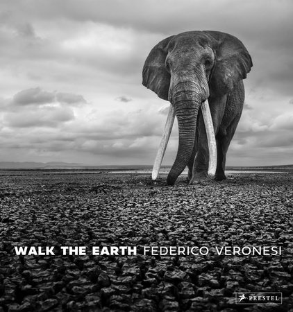 Walk the Earth by Federico Veronesi