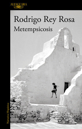 Metempsicosis / Metempsychosis by Rodrigo Rey Rosa
