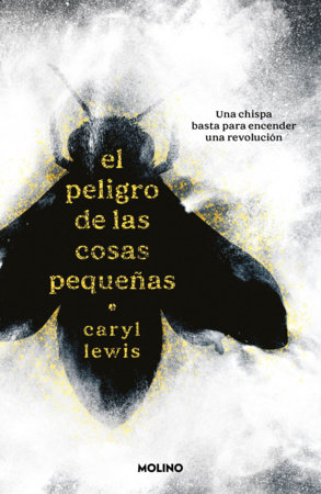 El peligro de las cosas pequeñas / The Danger of Small Things by Caryl Lewis