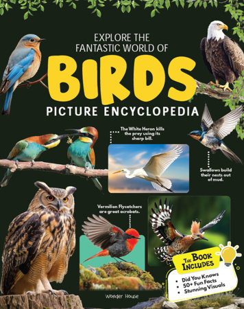 Explore Fantastic World of Birds Picture Encyclopedia by Wonder House Books