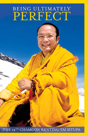 Being Ultimately Perfect by Chamgon  Situpa