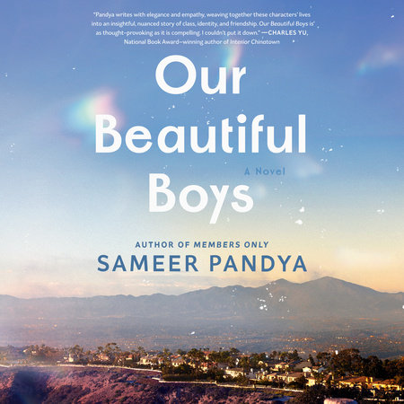 Our Beautiful Boys by Sameer Pandya