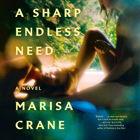 A Sharp Endless Need by Marisa Crane