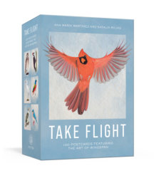Take Flight