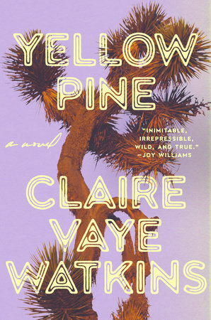 Yellow Pine by Claire Vaye Watkins