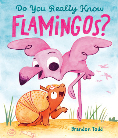 Do You Really Know Flamingos? by Brandon Todd