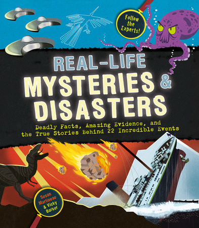 Real-Life Mysteries & Disasters by Susan Martineau