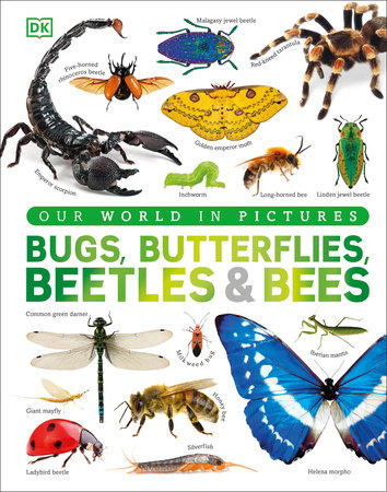 Our World in Pictures Bugs, Butterflies, Beetles and Bees by DK
