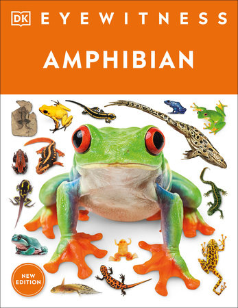 Eyewitness Amphibian by DK