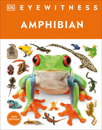 Eyewitness Amphibian