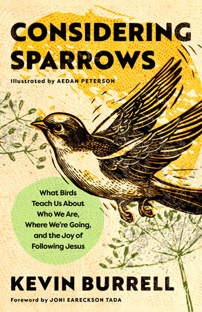 Considering Sparrows by Kevin Burrell