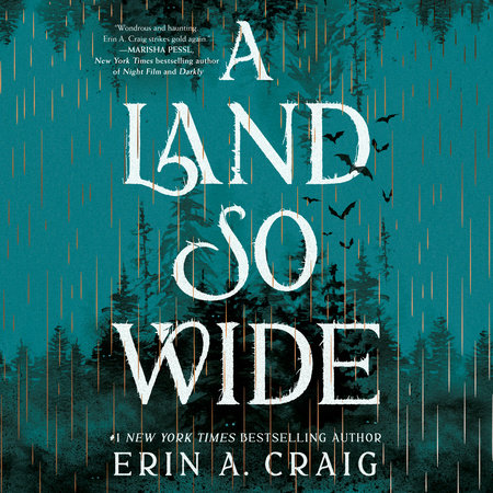 A Land So Wide by Erin A. Craig