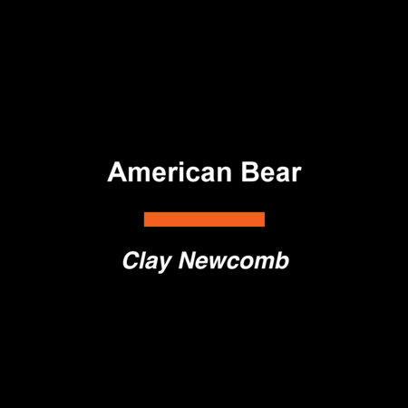 American Bear by Clay Newcomb