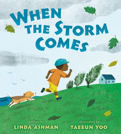 When the Storm Comes by Linda Ashman