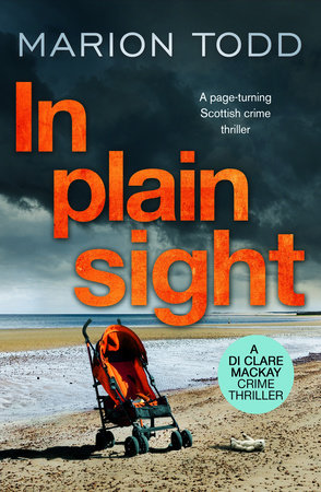 In Plain Sight by Marion Todd
