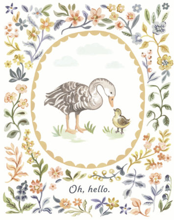 Love Muchly Greeting Cards: Baby - Oh, Hello (Pack of 6) by COMPENDIUM