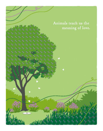 Positively Green Greeting Cards: Pet Sympathy - Love Knows No Limit (Pack of 6) by COMPENDIUM