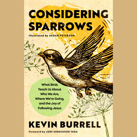 Considering Sparrows by Kevin Burrell