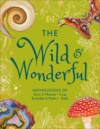The Wild & Wonderful by DK