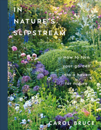 In Nature's Slipstream by Carol Bruce