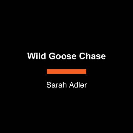 Wild Goose Chase by Sarah Adler