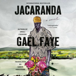 Jacaranda