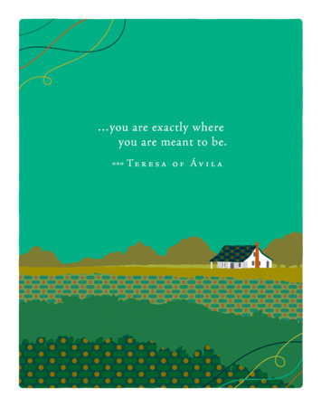 Positively Green Greeting Cards: New Home - You are exactly where you are (Pack of 6) by 