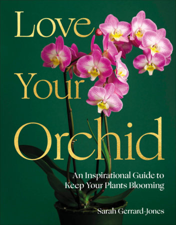 Love Your Orchid by Sarah Gerrard-Jones
