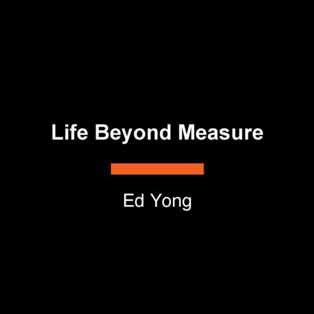 Life Beyond Measure by Ed Yong