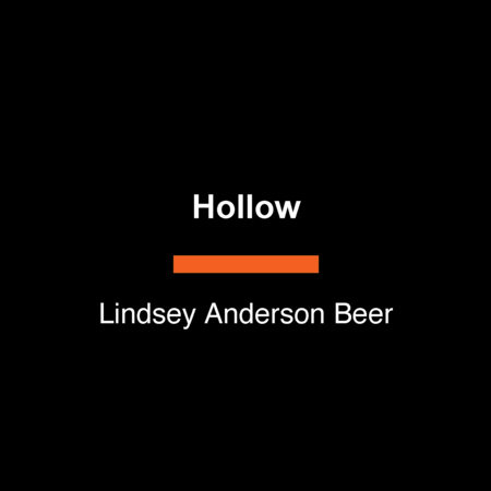 Hollow by Lindsey Anderson Beer