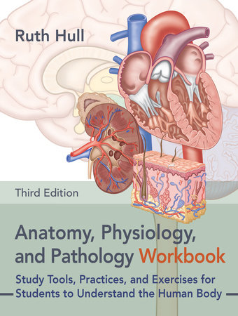 Anatomy, Physiology, and Pathology Workbook, Third Edition by Ruth Hull