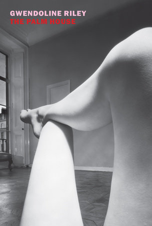 The Palm House by Gwendoline Riley