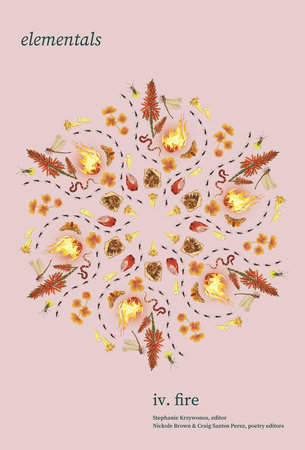 Elementals: Fire, Vol. 4 by 