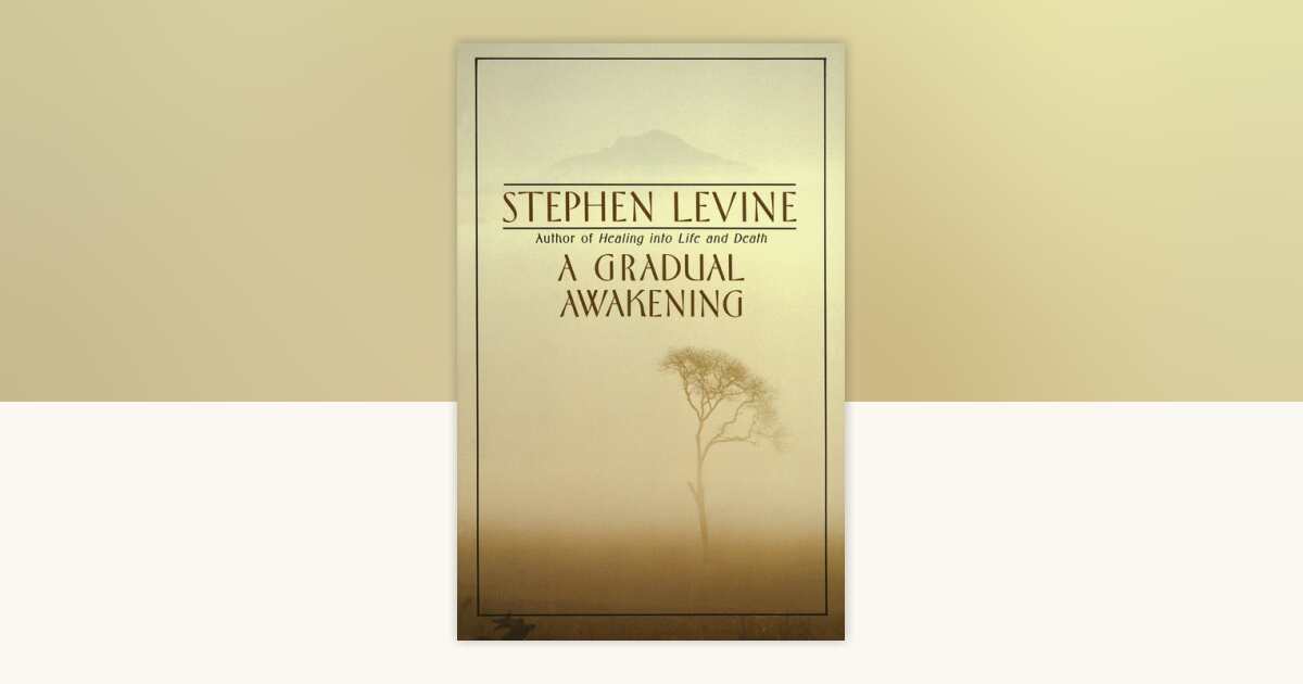 A Gradual Awakening by Stephen Levine: 9780385262187 ...