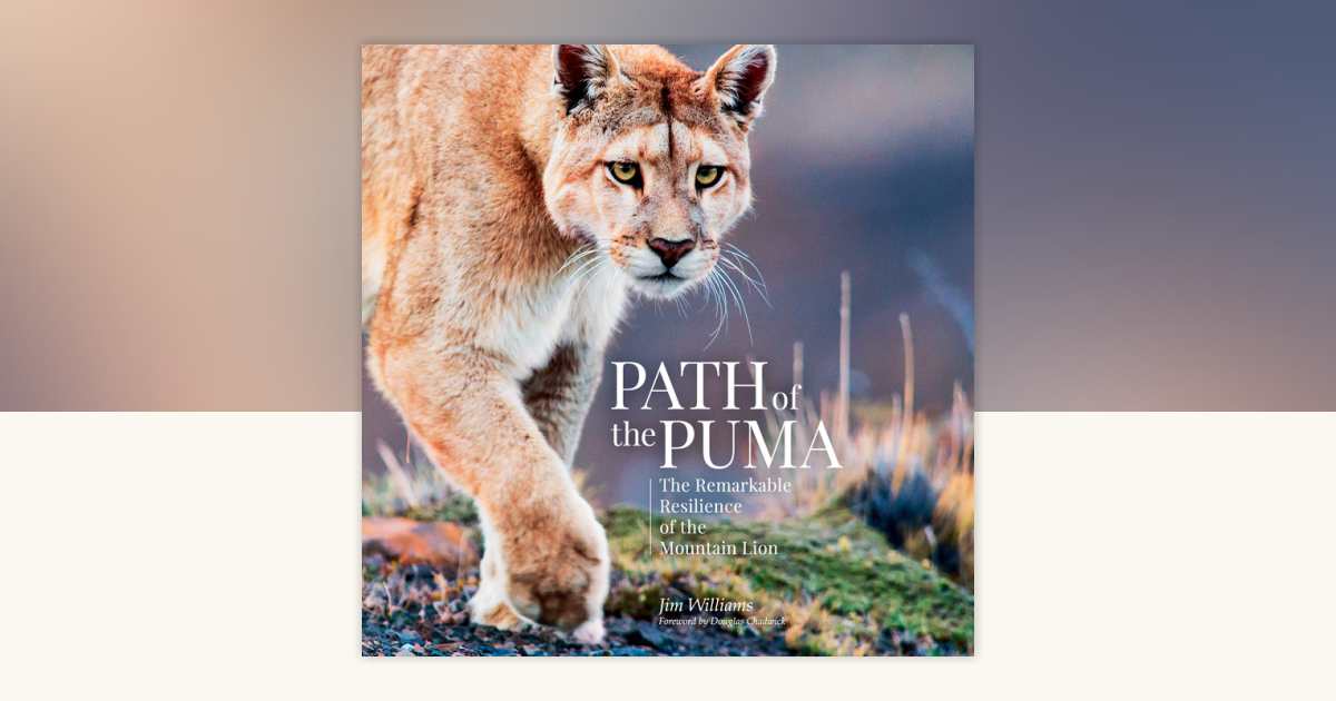 Path of the Puma by Jim Williams, Joe Glickman: 9780593171455