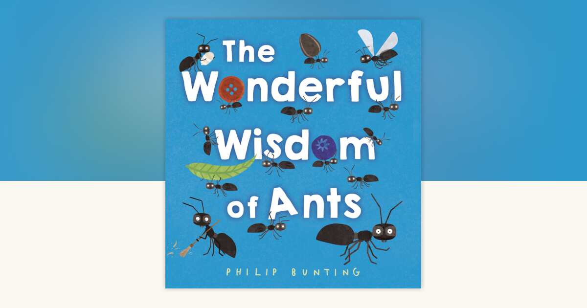 The Wonderful Wisdom of Ants by Philip Bunting: 9780593567784 ...