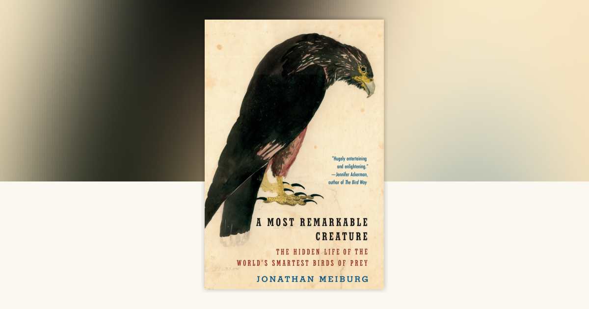 A Most Remarkable Creature by Jonathan Meiburg 9781101911549