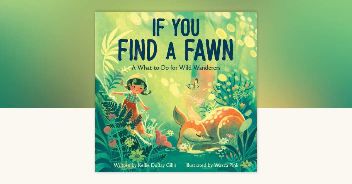 If You Find a Fawn by Kellie DuBay Gillis: 9781368107075