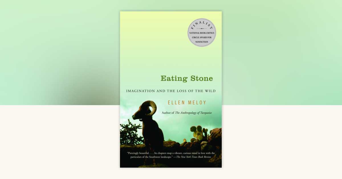 Eating Stone by Ellen Meloy: 9781400031771 PenguinRandomHouse