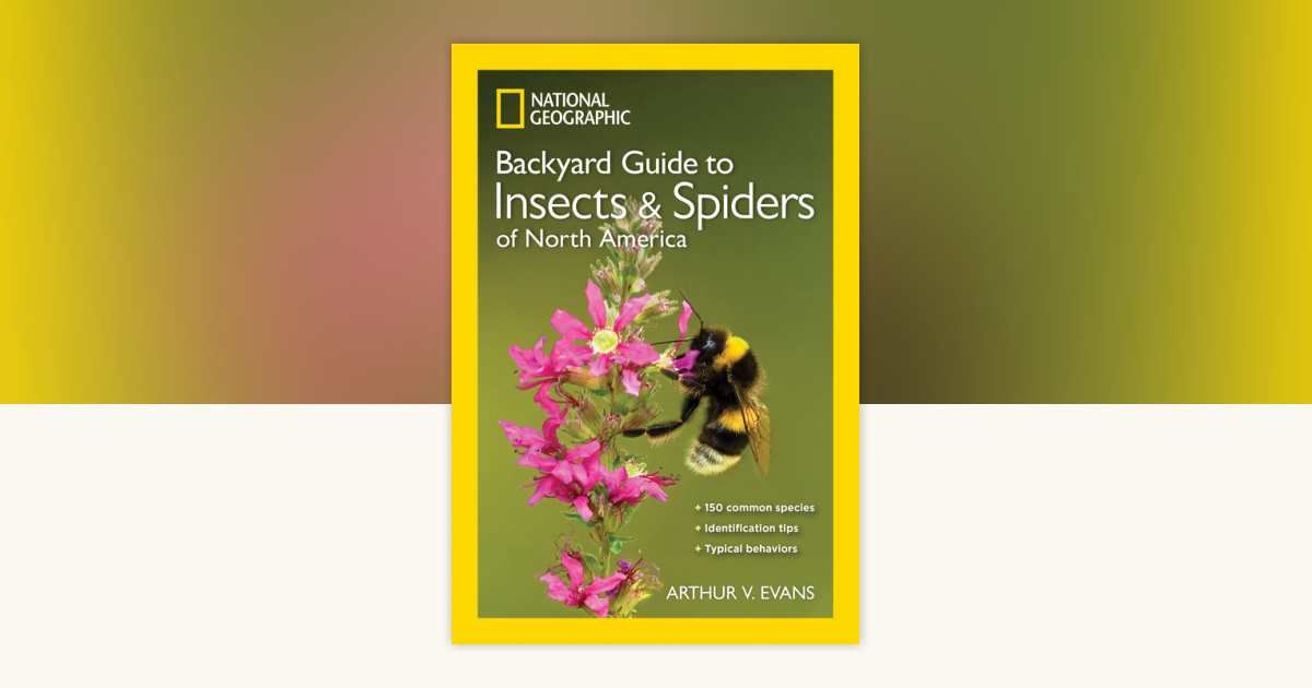 National Geographic Backyard Guide to Insects and Spiders of North