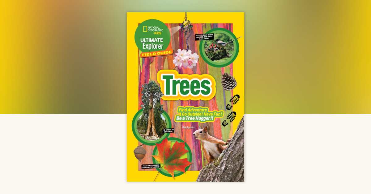 Ultimate Explorer Field Guide: Trees by Patricia Daniels: 9781426328916 ...