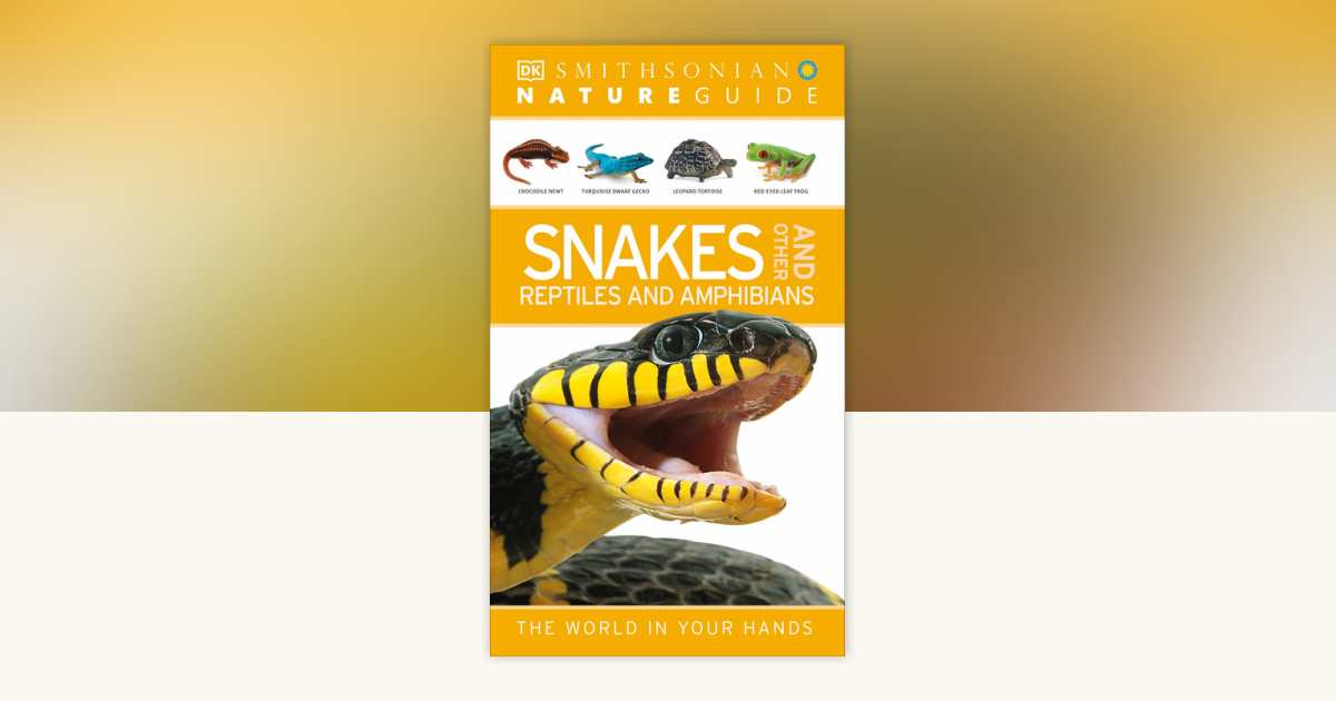 Nature Guide: Snakes and Other Reptiles and Amphibians by DK ...