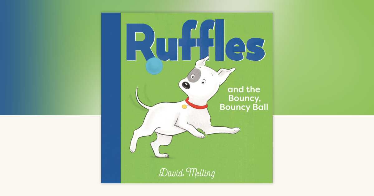 Ruffles and the Bouncy, Bouncy Ball by David Melling: 9781536241389 ...