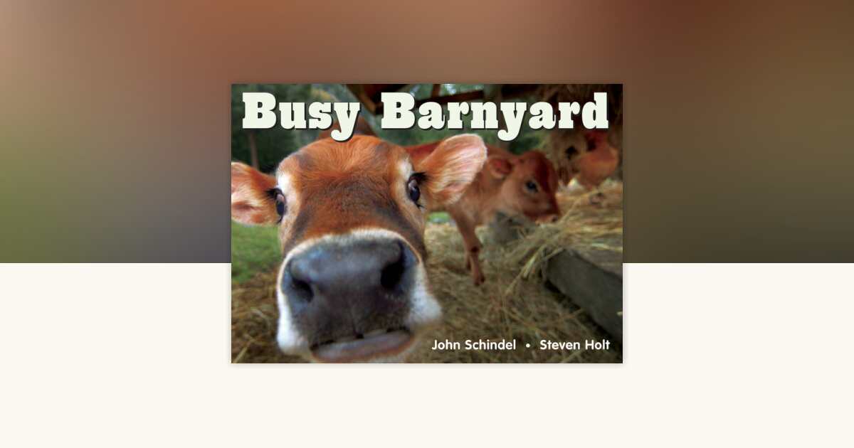 Busy Barnyard by John Schindel: 9781582461687 | PenguinRandomHouse.com ...
