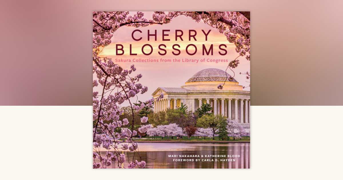 Cherry Blossoms by Mari Nakahara, Katherine Blood: 9781588346841