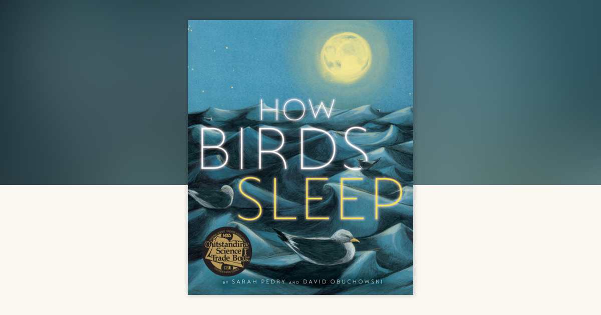 How to Birds Sleep 