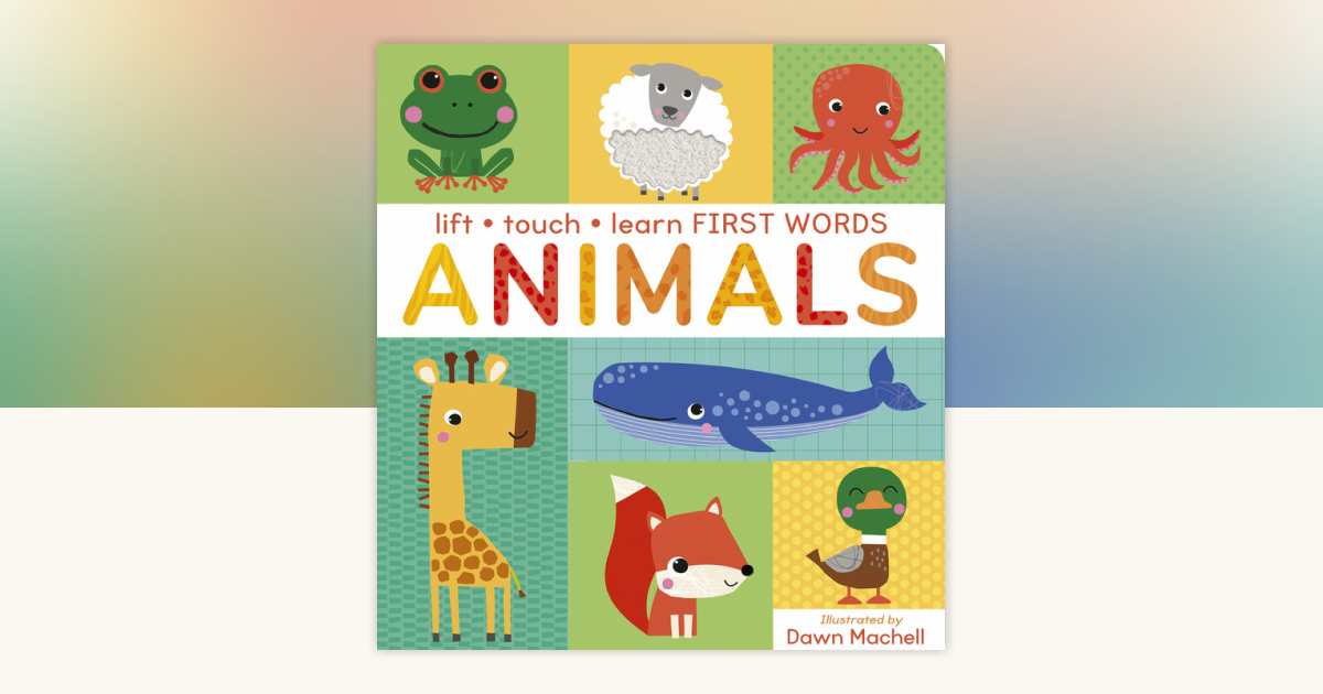 Lift Touch and Learn First Words: Animals by Villetta Craven